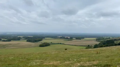 MrsPottage A view from the top of a hill over green fields near Combe featuring groups of trees that blend into the horizon as the ground meets the grey clouds above. 