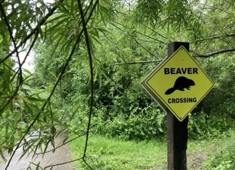 A beavers crossing sign at the nature reserve