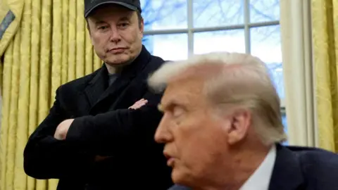 File image of Elon Musk standing over Donald Trump in the Oval Office