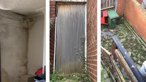 Three pictures of Hall's properties. The first shows the corner of a white room. The corner is covered in black mould. The second shows a brown wooden, external door. Weeds are growing from the pavement outside. The third images shows steps leading to a yard. The hand rail looks worn and some of the wood looks damaged.
