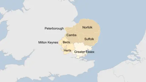A map of the East of England splitting the counties into three groups, which are shaded to denote the grouping. One group features Cambridgeshire and Peterborough, Norfolk and Suffolk. A second group features Bedfordshire, Hertfordshire and Milton Keynes. The last group is called Greater Essex and includes the county council, Southend and Thurrock council areas.
