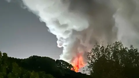 Jim Snook A large plume of smoke rising into the sky, with trees below. There are flames and the sky is dark. 
