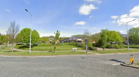A Google view of the application site as seen from South Bridge Road. There is large grassed are with several trees, along with buildings in the background.