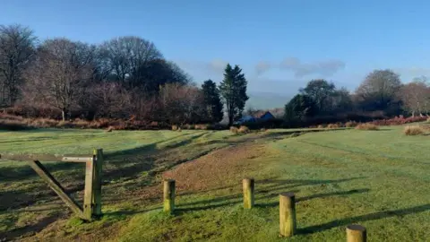 Daniel Mumby A view over a hill with blue skies and green grass. The trees are without leaves and there is a house in the distance.