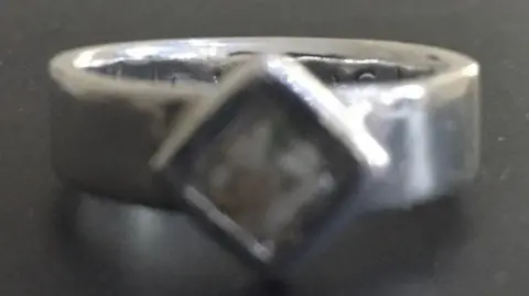 Donna Dixon A silver ring containing Donna Dixon's son's ashes