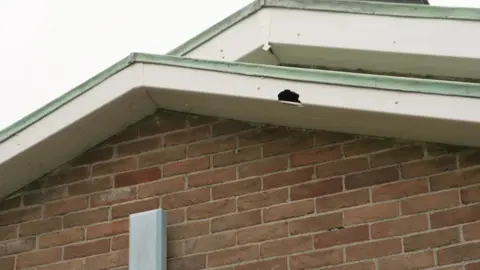 A small gap in the wood on the front of the church.