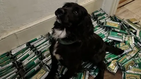 A black dog sits surrounded by green packets of hand rolling tobacco.