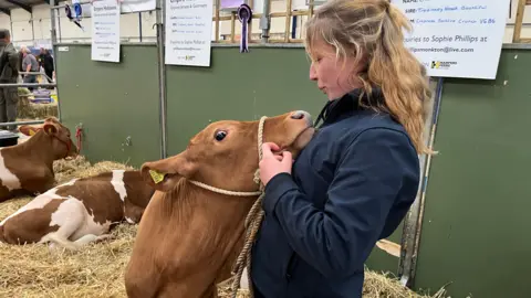 Sophie Phillips abraza a un ternero joven de color marrón y blanco en las salas de ganado de Bath and West Showground. Otros ganados yacen sobre la paja detrás