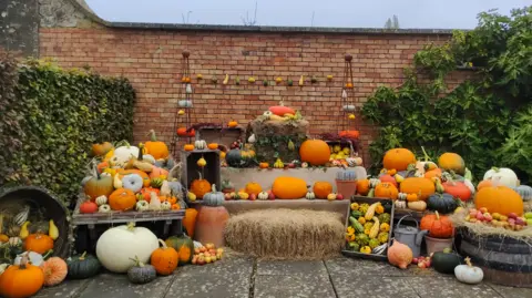 Jemma Marsh The photo shows a large number of pumpkins and squashes on display in Barrington Court in 2023. They are placed on hay bales and benches, with smaller pumpkins presented in boxes.