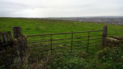 Local Democracy Reporting Service An empty field where the homes are proposed to be built.