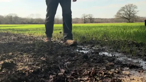 A farmer, seen from the feet down, walks along a muddy path through a field of green shooting wheat.