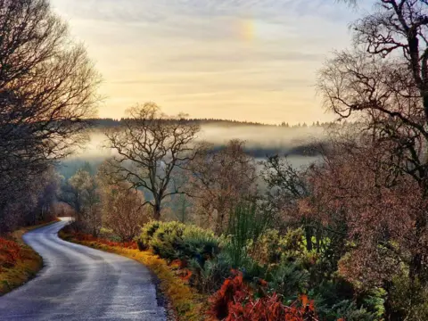 Kevin Williamson A country road winding off to the left with a brightly coloured forest to the right