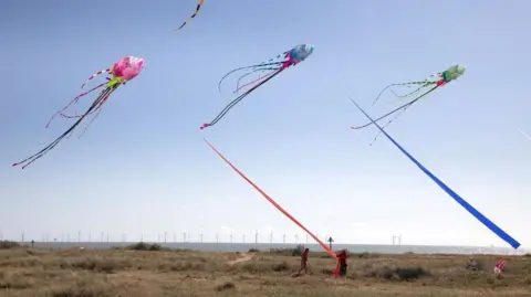 Steve Brading/TDC Kites being flown above the beach on Jaywick Sands.