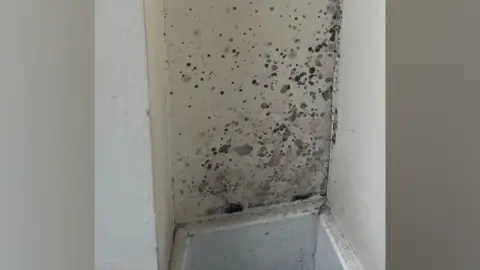 Resident A white internal wall covered in spots of black mould.