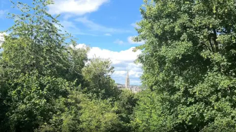 Salisbury's cathedral and spire can just about be seen through a gap in leafy green trees. It is seen on a blue-sky day with large white clouds.
