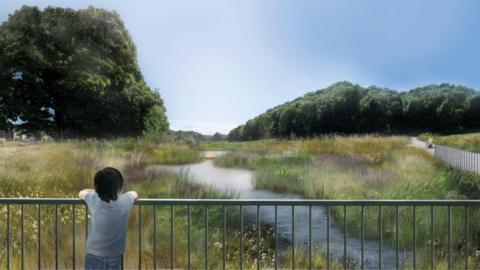 A virtual image showing a young person looking over a fence onto grass wetlands