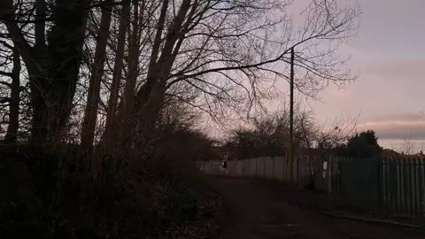 There are high walls and fences on both sides of the path. There are trees in the foreground