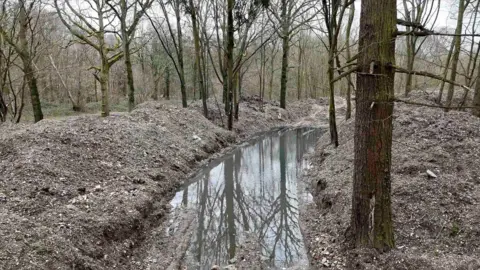 A woodland scene with trees, waste on the ground and a large puddle of water