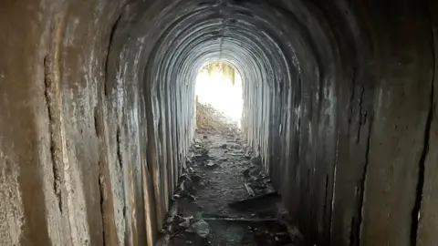 BBC/Kate Bradbrook Concrete underground shelter with entrance visible in the background