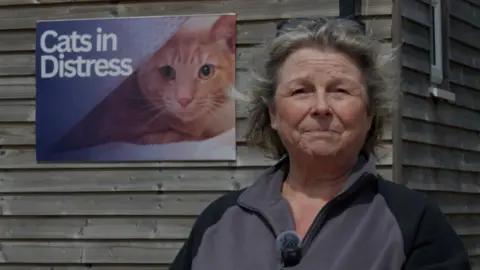 A midshot of Ginny looking to camera in front of a wood-clad building with a large poster of a tabby cat's face and the words 'Cats in Distress'