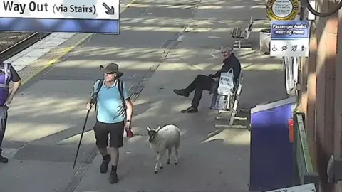 A CCTV image of Jai on platform four with the lamb on a lead. Jai wears a blue t-shirt and a large cowboy-style hat with shorts and boots. He is carrying a long walking stick. In the background a man sitting on a bench looks at the sight with a smile.