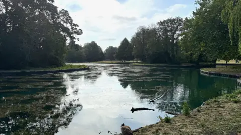 A lake with trees either side of the banks
