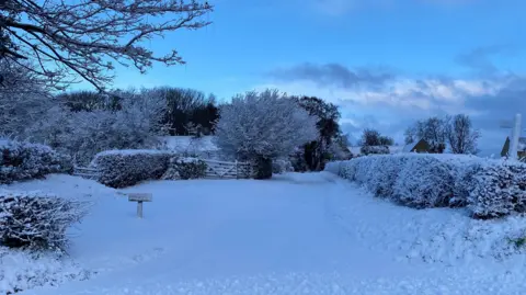 Snow and frost covers a field which is bordered by hedges and trees.