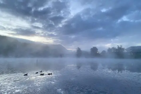 Nicola Ryrie Ducks on a pond on a misty morning, with trees reflected in the water.