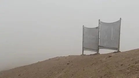 Maria Virginia Carter Gambarini, an experimental fog harvesting system - consisting of two sheets of fine net mesh, each was suspended between two poles. Sit on a barren hill in the trap mist