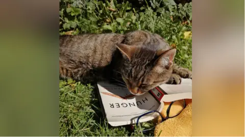Angela Tomaski Angela Tomaski's cat Kittgenstein, laying in the sun in a garden. She has a book under her paws. There are also glasses and a yellow towel next to her.