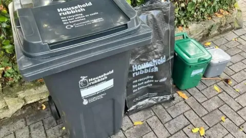 A large black wheelie bin for household rubbish, a black household rubbish sack, a small green food waste caddy bin and a grey caddy bin on a driveway outside a Cornish home. They are in front of a bush.