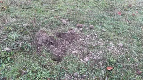 Alison Ruyter A dug up mound of turf on chalk landscape at The Larches nature reserve