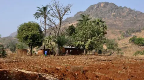 A couple of huts nestled by trees in the distance. behind it is a mountain. 