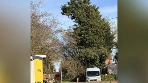 Barley Mow Inn A large tree of which part of the left hand side of it has been removed during works. A white van is parked in a car park in front of it. Some workers can be seen working in the area ahead of the tree.