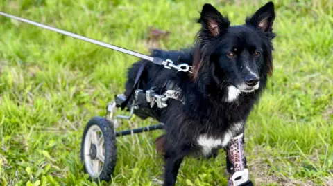 NATALIA GEORGE Fern with her new leg brace