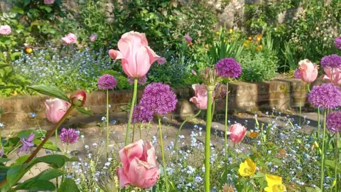 Close-up of a variety of flowers at Mompesson House: tulips, alliums and bluebells in a walled section of garden