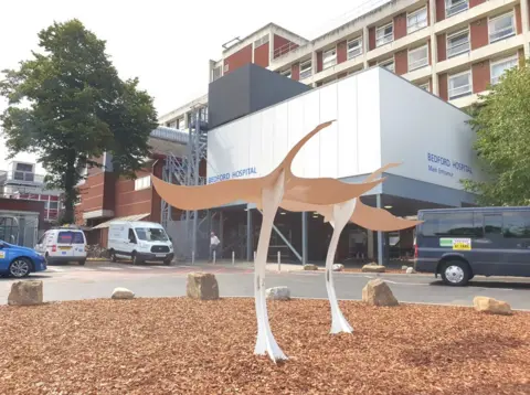 Bedfordshire Hospitals NHS Foundation Trust Bedford Hospital