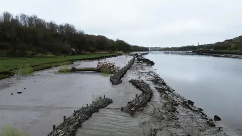 The river which has a large beach of silt and mud on the side to the left of the photo. There are bits of wood and some green plants on the marsh. To the left there is a stretch of grass and trees, away from the river channel.