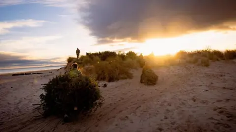 RAF Lossiemouth RAF personnel in camouflage carrying Christmas trees on sand dunes, and a bright skyline.