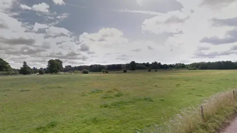 Google View of sprawling area of grass at Clandon Park, with trees in the distance. 