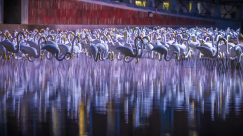 Bristol Light Festival A flock of plastic flamingos is installed on a water feature in front of City Hall in Bristol as part of the Bristol Light Festival. They are white.