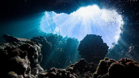 Getty Images Bubbles, rocks and beams of sunlight beneath the ocean 