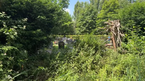 In the foreground of the photo there are lots of bushes and trees. Through the trees, there are a number of black and grey gravestones, which have flowers and different tributes on them. 