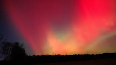 Getty Images The aurora borealis glows above rural Monroe County as a strong geomagnetic storm from recent solar activity pushes the Northern Lights unusually far south on November 12, 2025, in Bloomington, Indiana. Displays were reported across the United States as far south as Texas, Alabama, Georgia, and north Florida. 