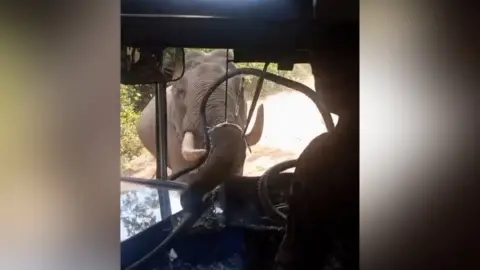 Elephant smashing through bus windscreen with its trunk