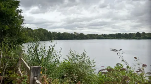 A wide shot of a lake. There are green shrubs in the foreground