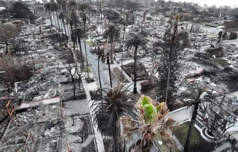 Getty Images An aerial view of trees and homes which burned in the Palisades Fire on 28 January 2025 in Pacific Palisades, California. 