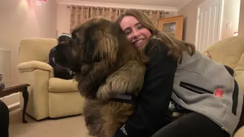 Supplied Hero the very large dog being hugged from behind by one of the daughters in the living room. She wears a grey and black jumper or hooded top.