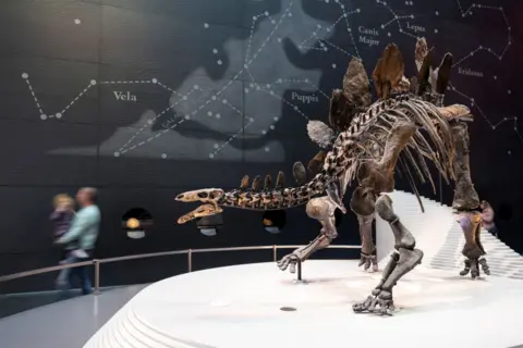 Getty Images Stegosaurus in London