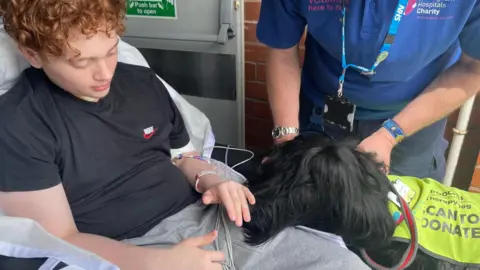 Family handout Flynn in hospital with a therapy dog 
